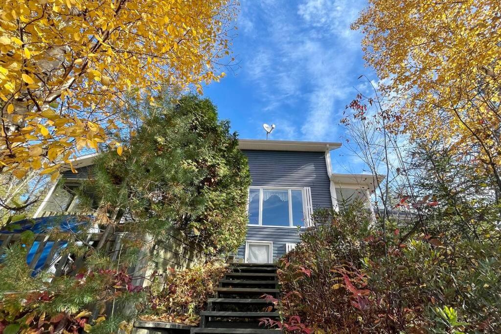 Le Chalet Bleu, Aux Pieds Des Monts-Valin Saint-David-de-Falardeau Экстерьер фото